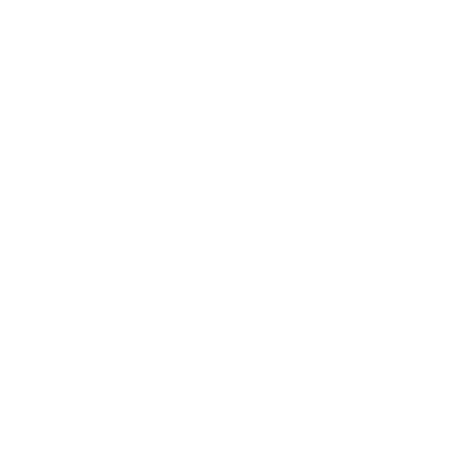 XAgent – AI Solution provider